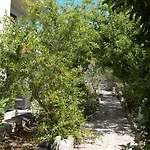 Gianni E Pia Bed & Breakfast Luogosanto