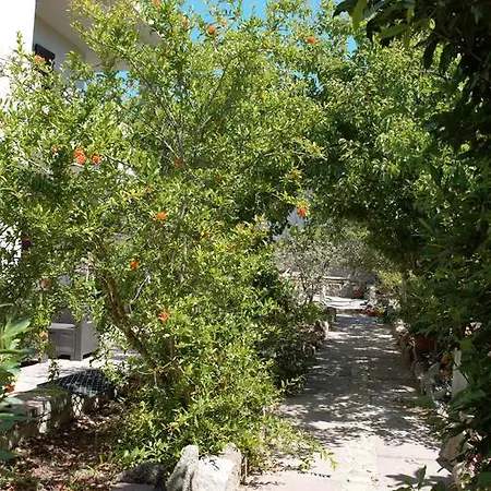 Gianni E Pia Bed & Breakfast Luogosanto